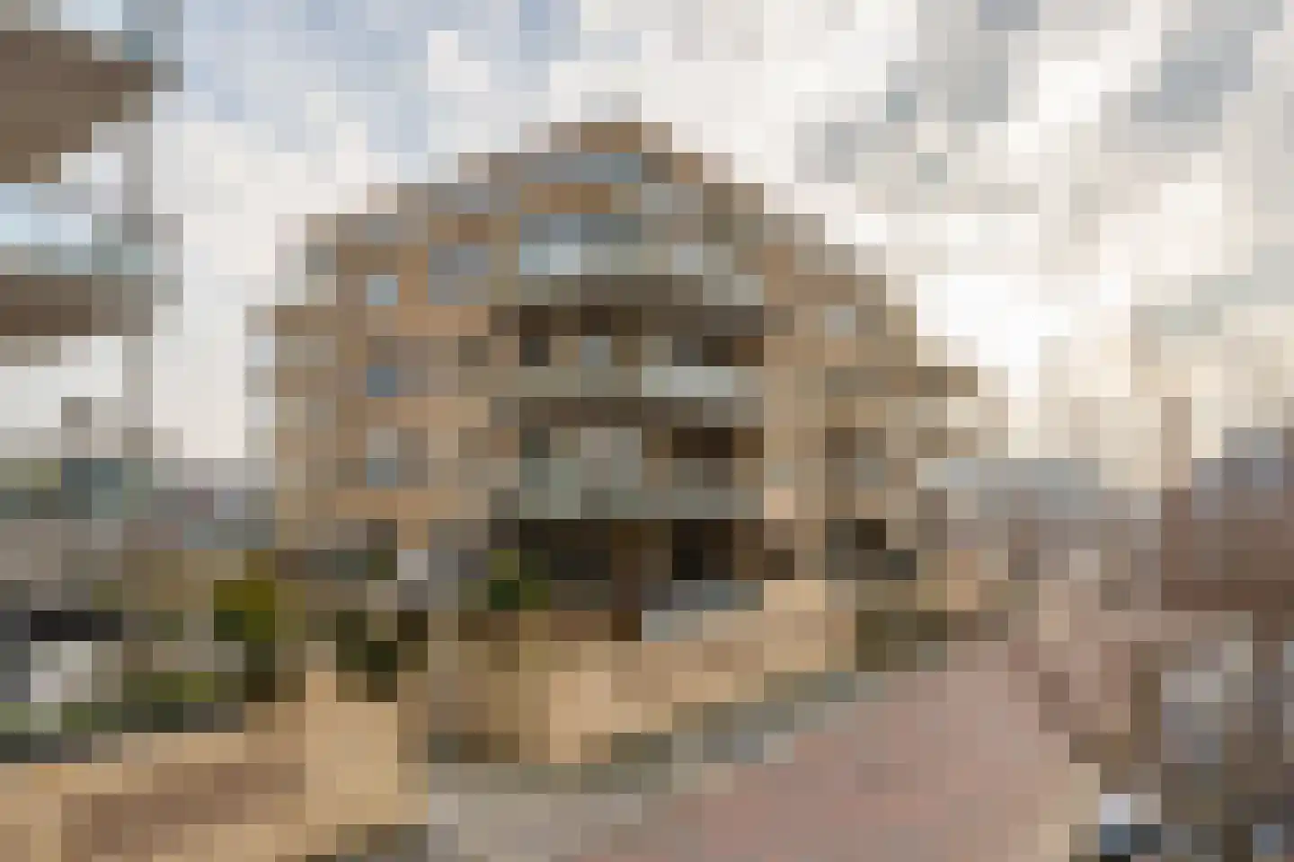 Piet Heinstraat 129 Lisse thumbnail 44