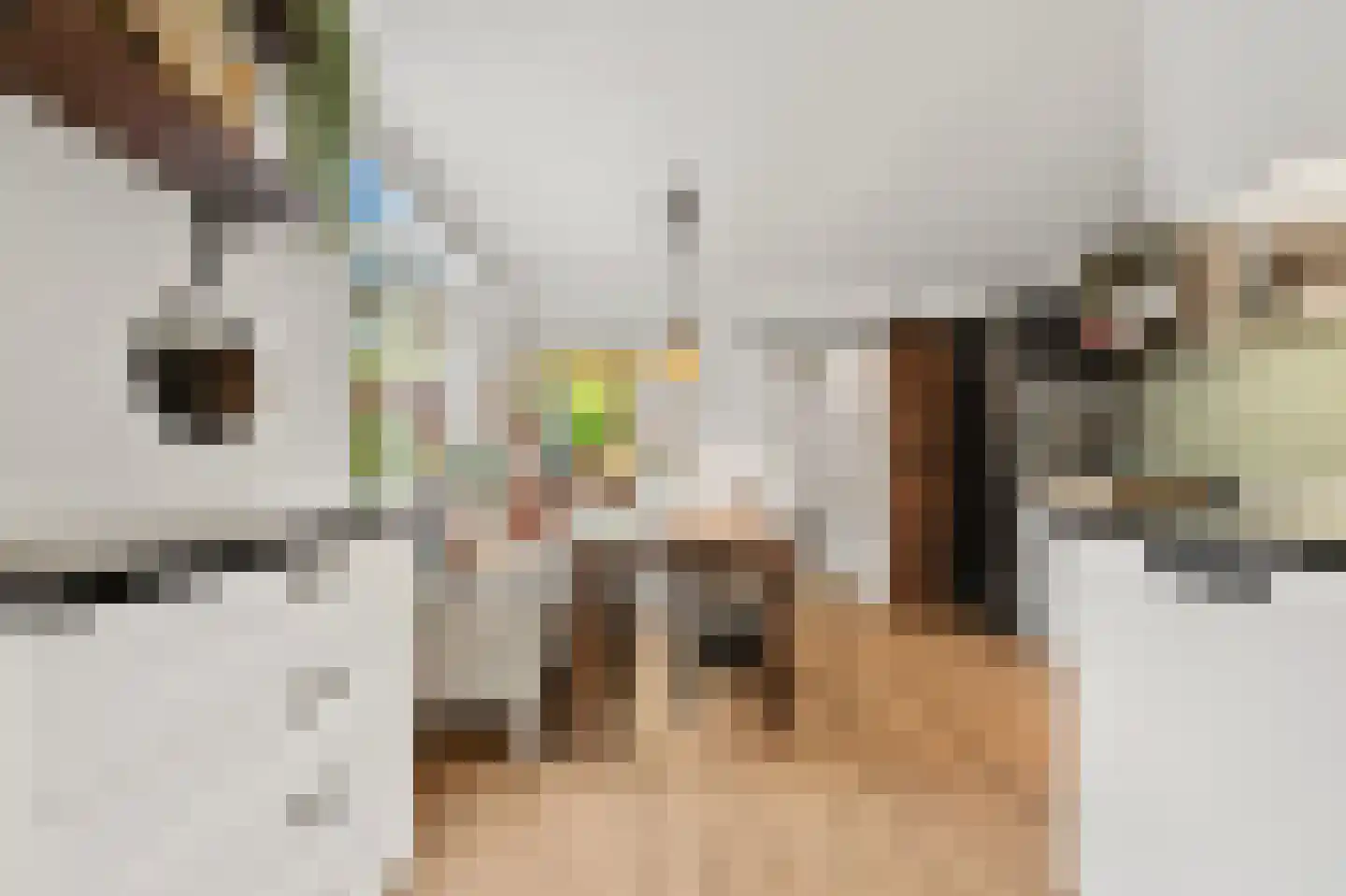 Piet Heinstraat 13 Capelle aan den IJssel thumbnail 11