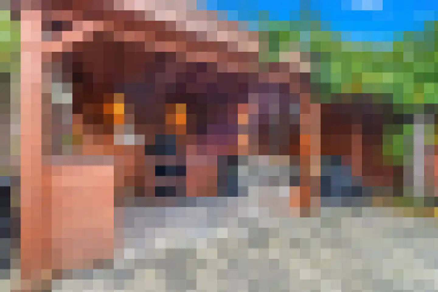 Piet Heinstraat 13 Capelle aan den IJssel thumbnail 25