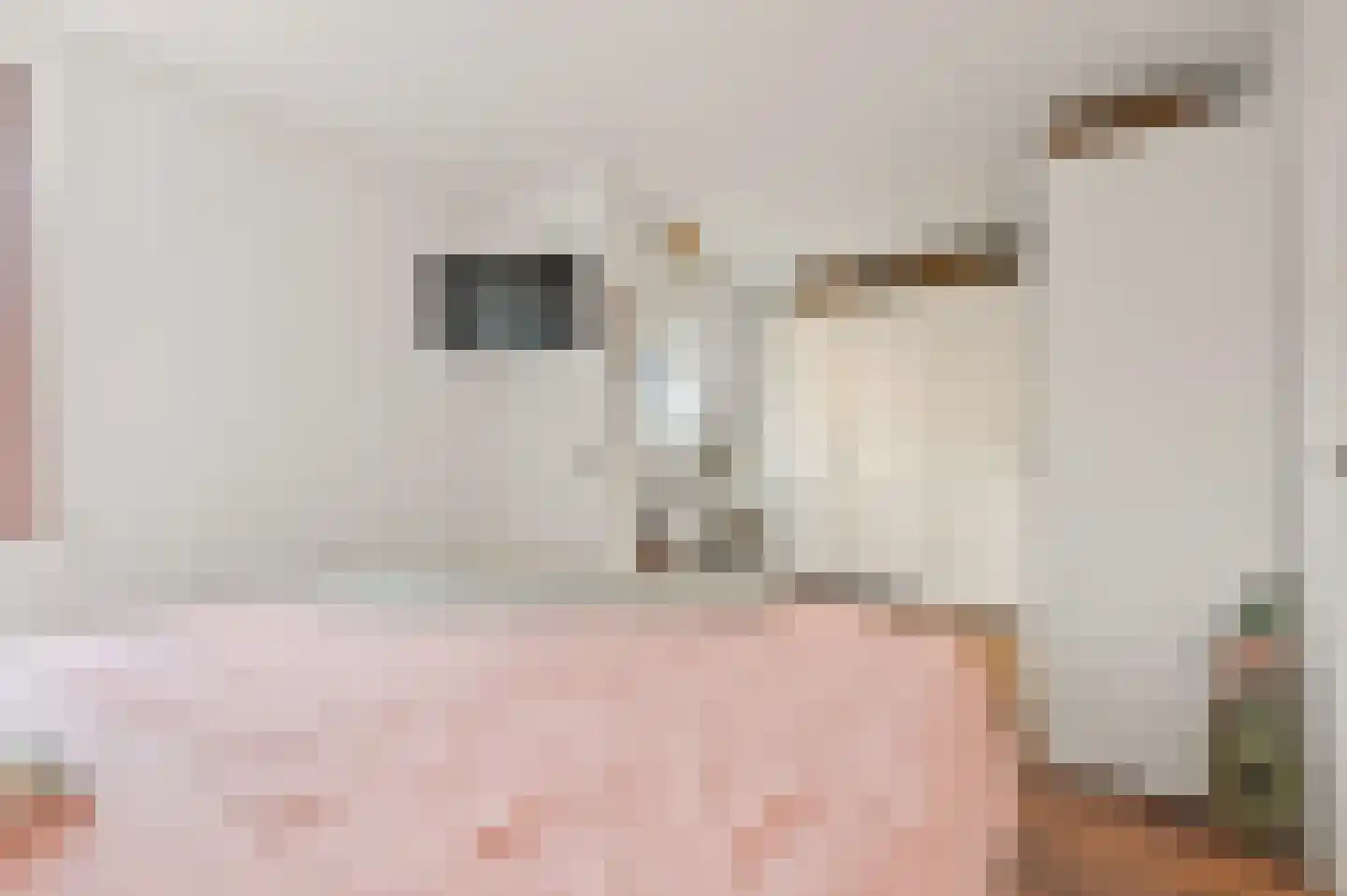 Piet Heinstraat 13 Capelle aan den IJssel thumbnail 34