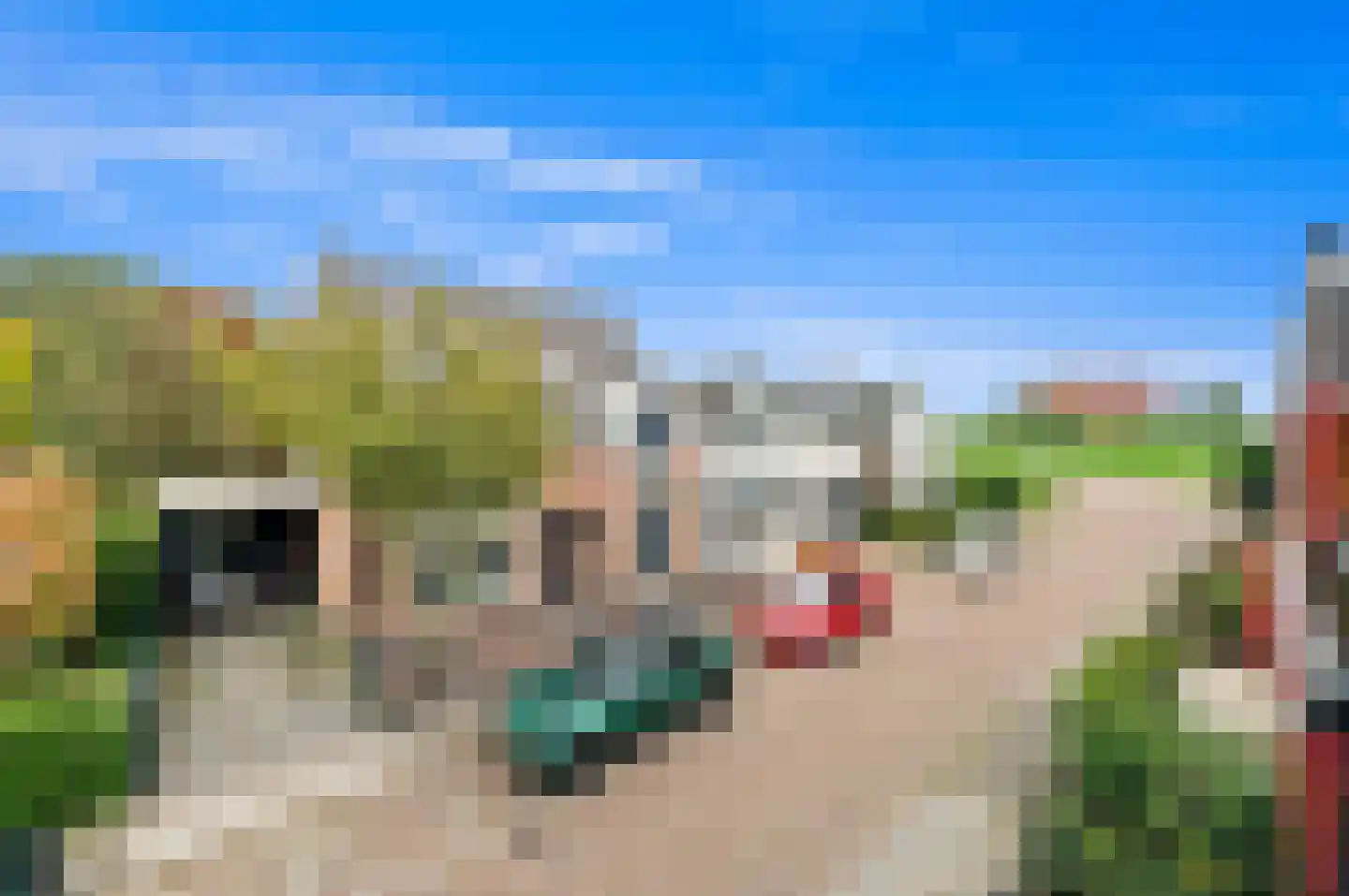 Piet Heinstraat 13 Capelle aan den IJssel thumbnail 36