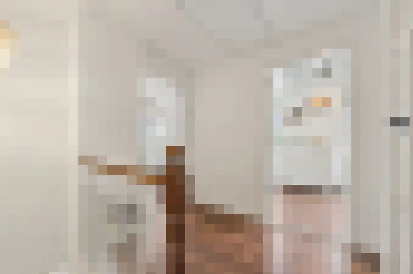 Piet Heinstraat 13 Capelle aan den IJssel thumbnail 37