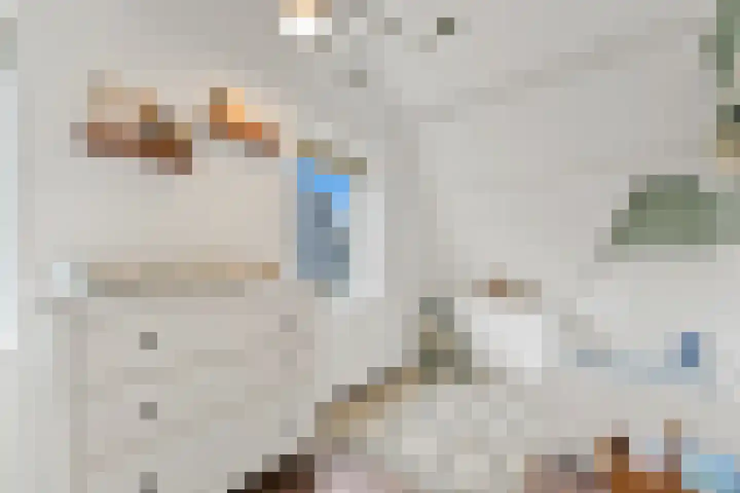 Piet Heinstraat 13 Capelle aan den IJssel thumbnail 39
