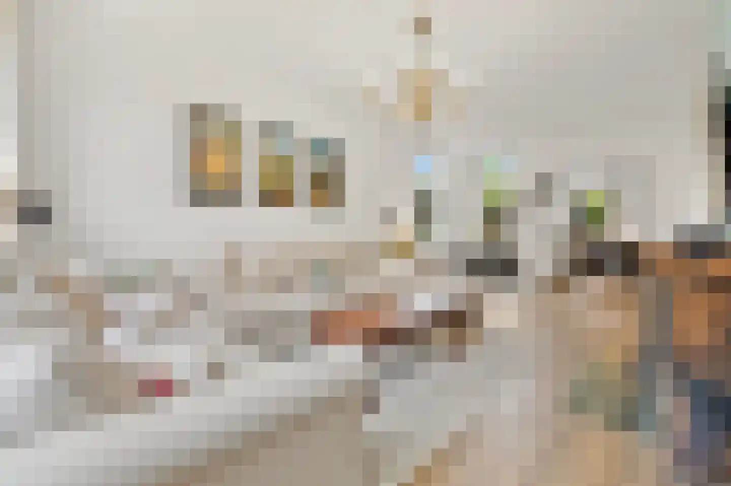 Piet Heinstraat 13 Capelle aan den IJssel thumbnail 4