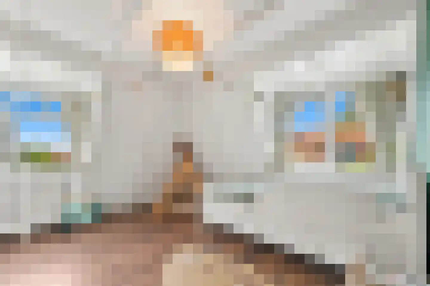 Piet Heinstraat 13 Capelle aan den IJssel thumbnail 47