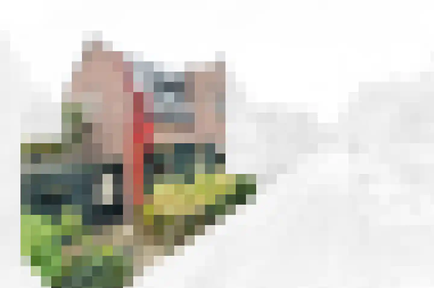 Piet Heinstraat 13 Capelle aan den IJssel thumbnail 51