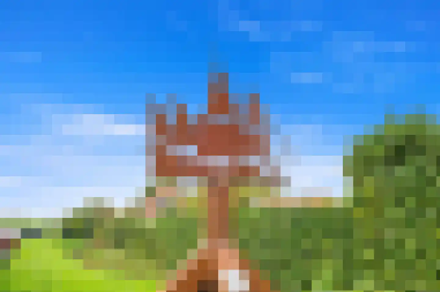 Piet Heinstraat 13 Capelle aan den IJssel thumbnail 57