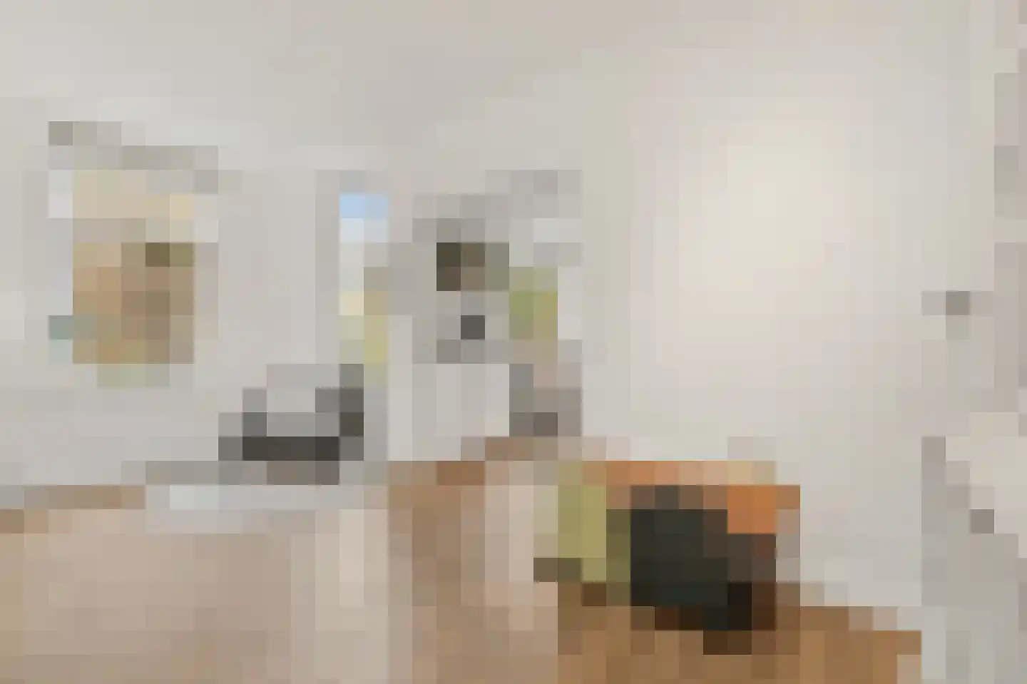 Piet Heinstraat 13 Capelle aan den IJssel thumbnail 9