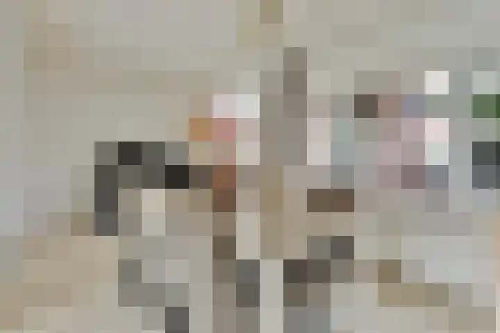 Piet Heinstraat 13 Druten thumbnail 10