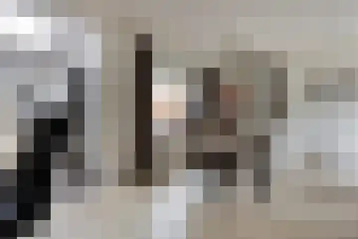 Piet Heinstraat 13 Druten thumbnail 11