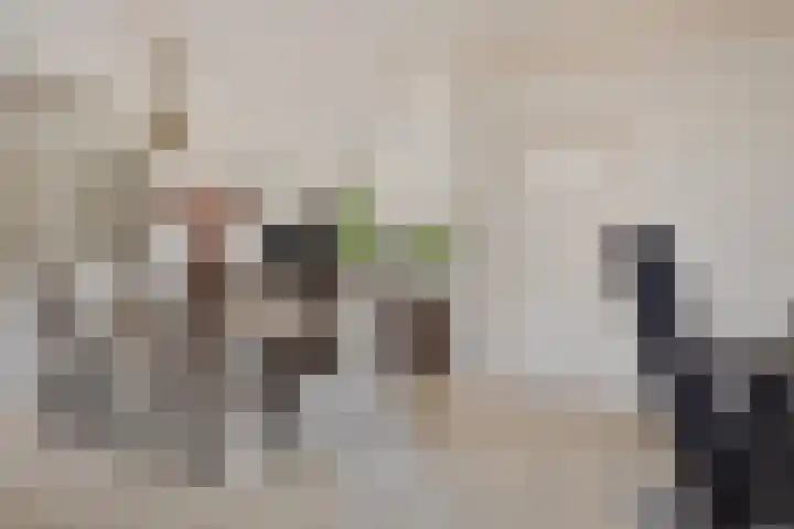 Piet Heinstraat 13 Druten thumbnail 12