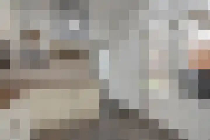 Piet Heinstraat 13 Druten thumbnail 13