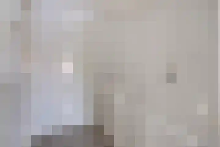 Piet Heinstraat 13 Druten thumbnail 16