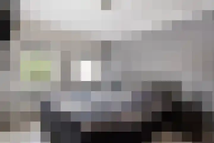 Piet Heinstraat 13 Druten thumbnail 17