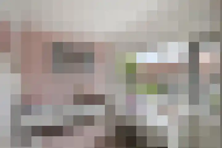 Piet Heinstraat 13 Druten thumbnail 20