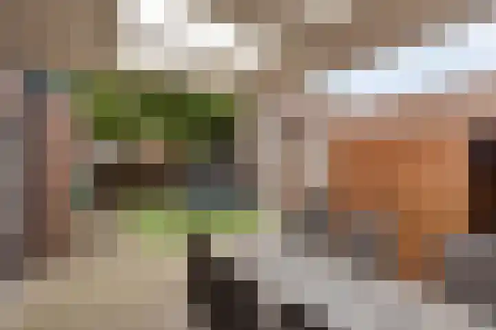 Piet Heinstraat 13 Druten thumbnail 23