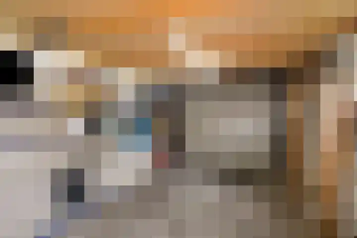 Piet Heinstraat 13 Druten thumbnail 26
