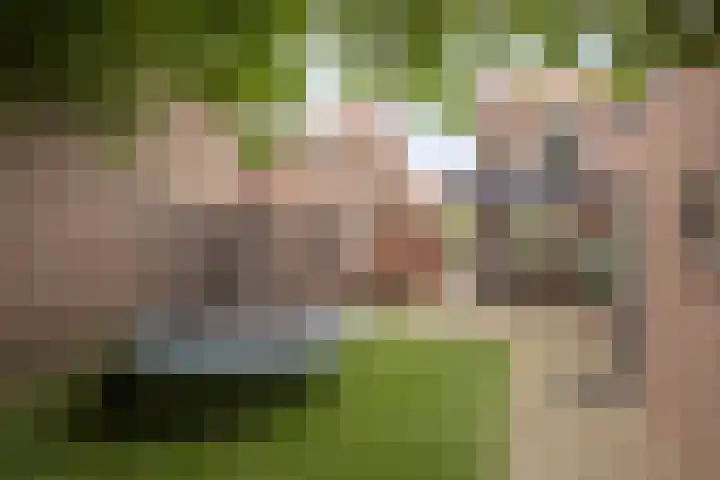 Piet Heinstraat 13 Druten thumbnail 4