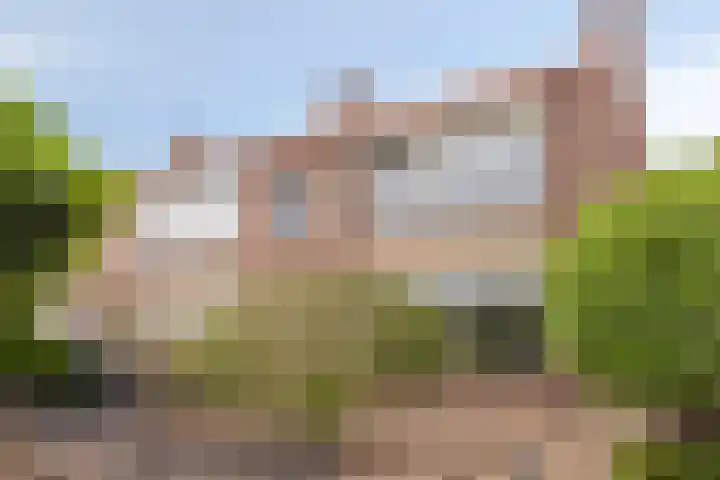 Piet Heinstraat 13 Druten thumbnail 5