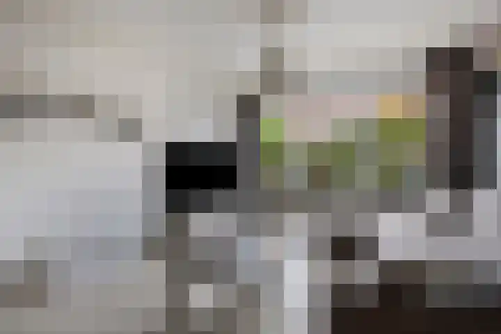 Piet Heinstraat 13 Druten thumbnail 8