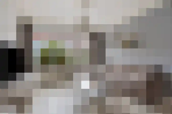 Piet Heinstraat 13 Druten thumbnail 9