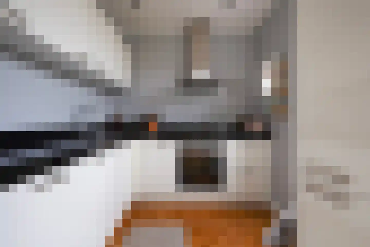 Piet Heinstraat 131 A Den Haag thumbnail 16