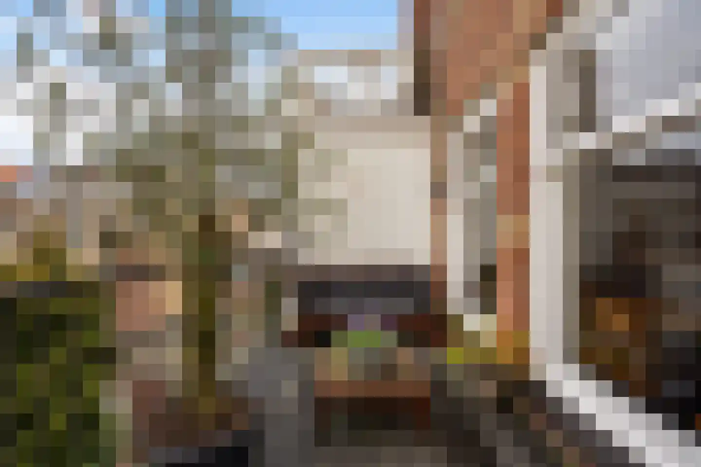 Piet Heinstraat 131 A Den Haag thumbnail 19