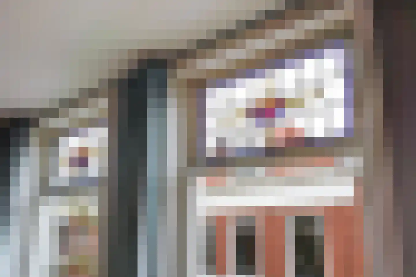 Piet Heinstraat 131 A Den Haag thumbnail 28
