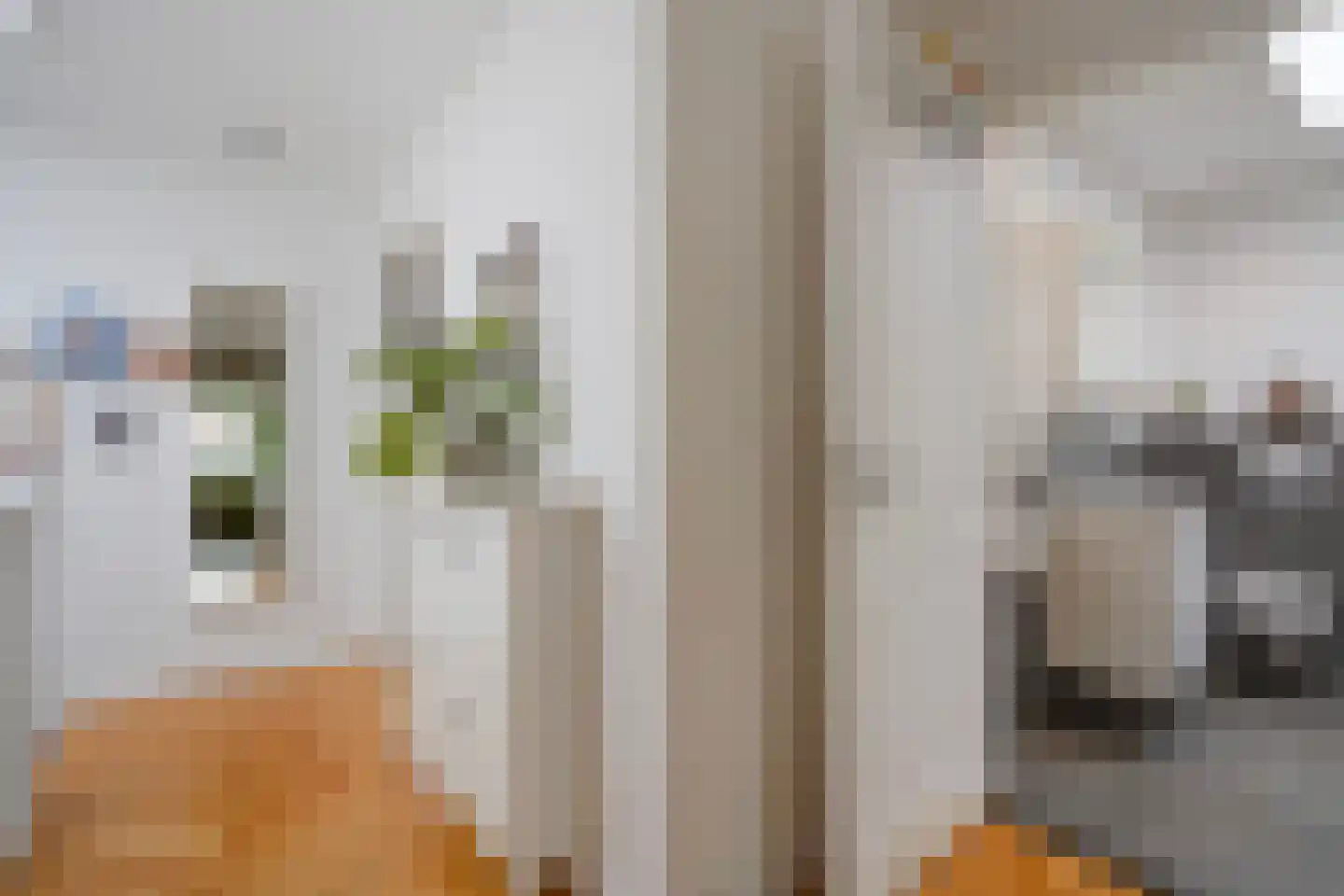 Piet Heinstraat 131 A Den Haag thumbnail 32
