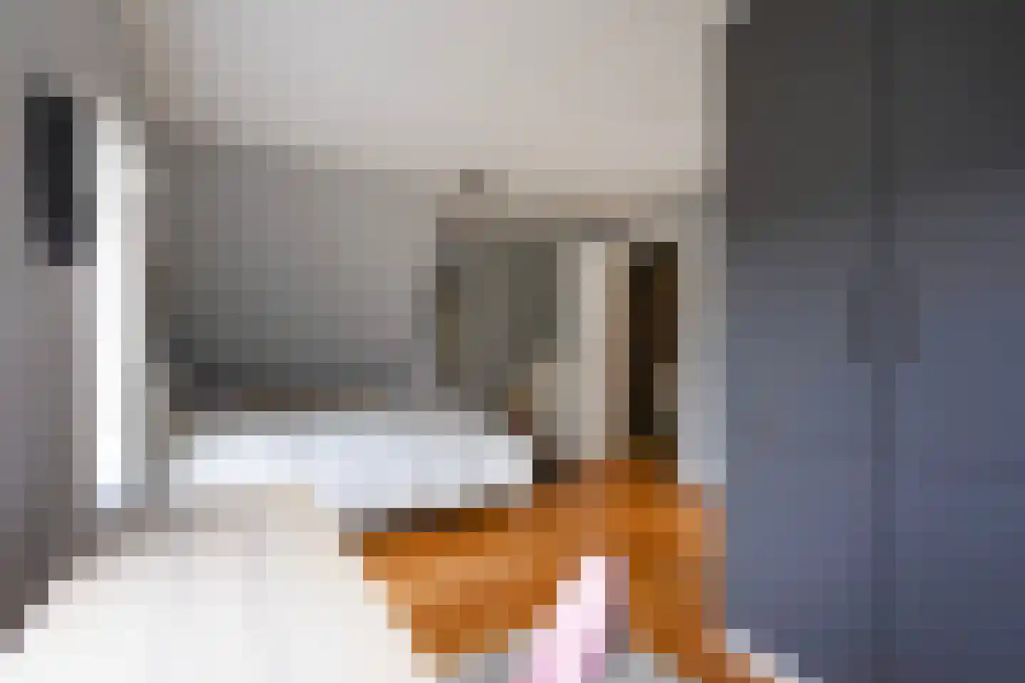 Piet Heinstraat 131 A Den Haag thumbnail 33