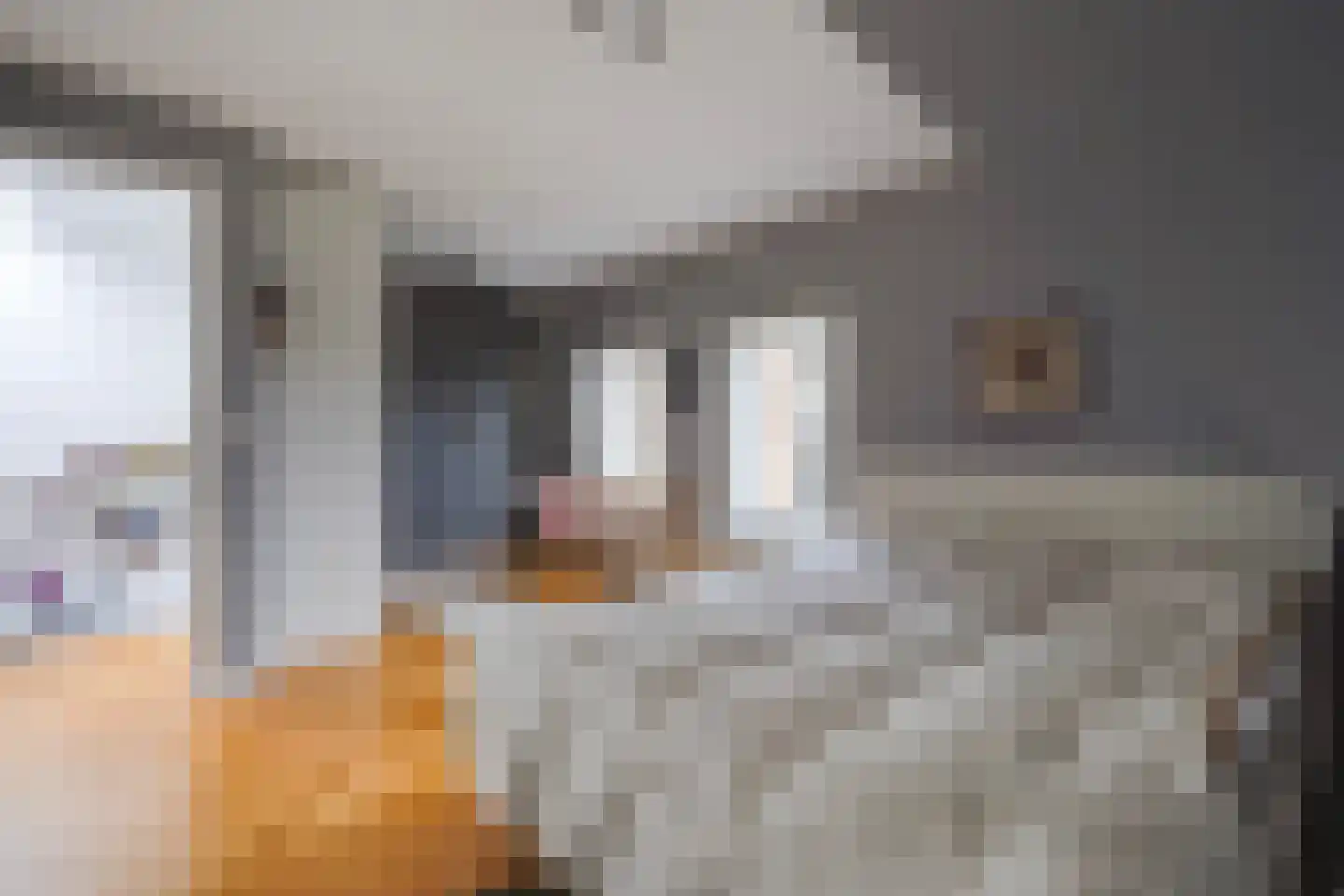 Piet Heinstraat 131 A Den Haag thumbnail 36