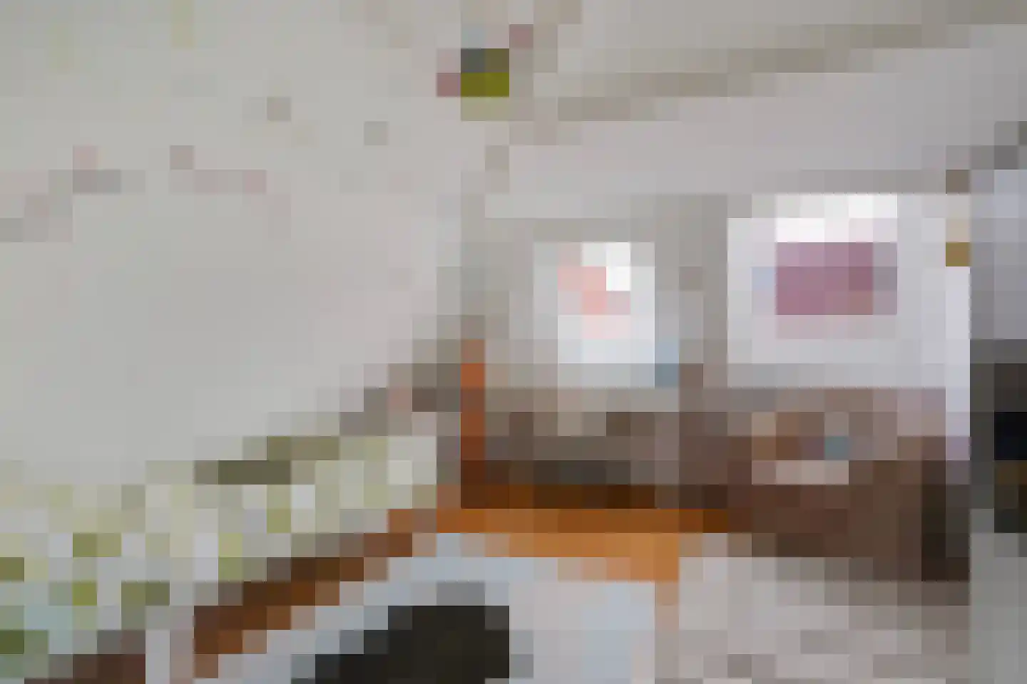 Piet Heinstraat 131 A Den Haag thumbnail 43