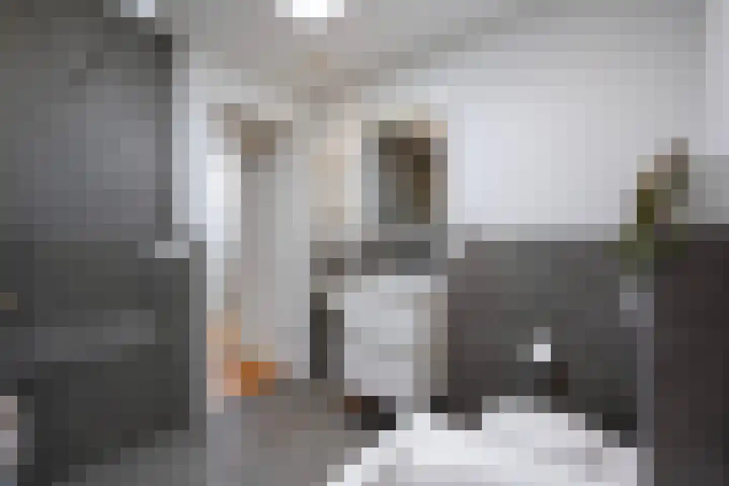 Piet Heinstraat 131 A Den Haag thumbnail 47