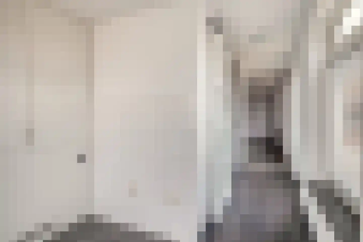 Piet Heinstraat 14 Schijndel thumbnail 12