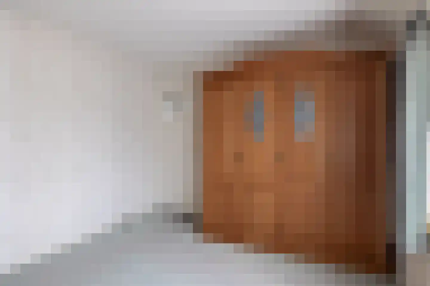 Piet Heinstraat 14 Schijndel thumbnail 22