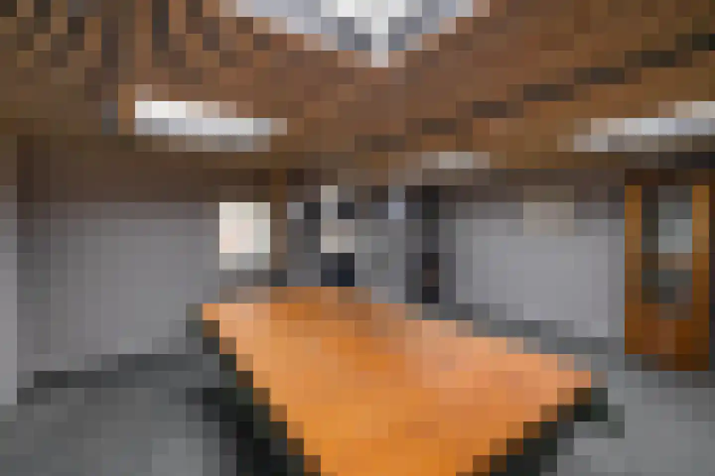 Piet Heinstraat 14 Schijndel thumbnail 27