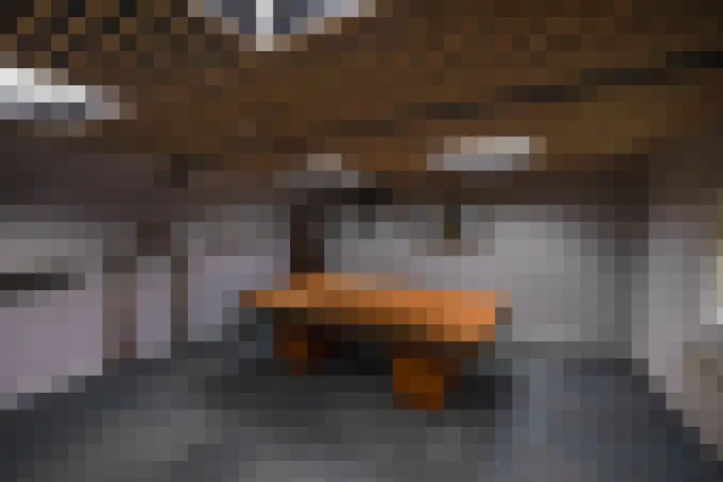 Piet Heinstraat 14 Schijndel thumbnail 28