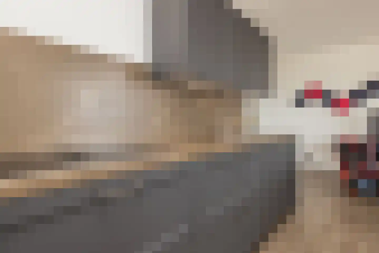 Piet Heinstraat 147 Lisse thumbnail 19