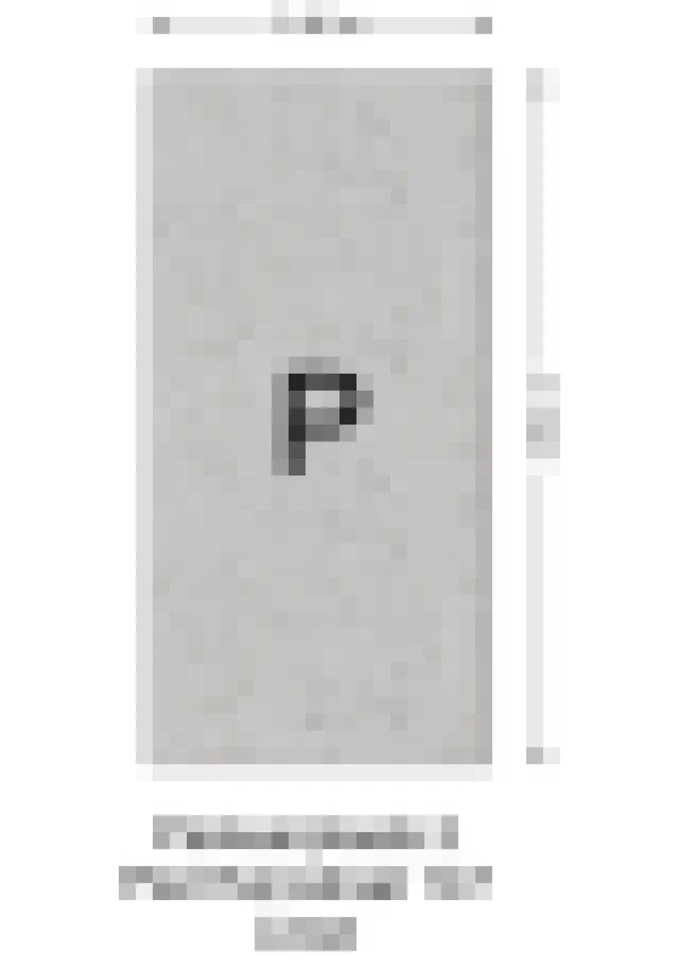Piet Heinstraat 147 Lisse thumbnail 66