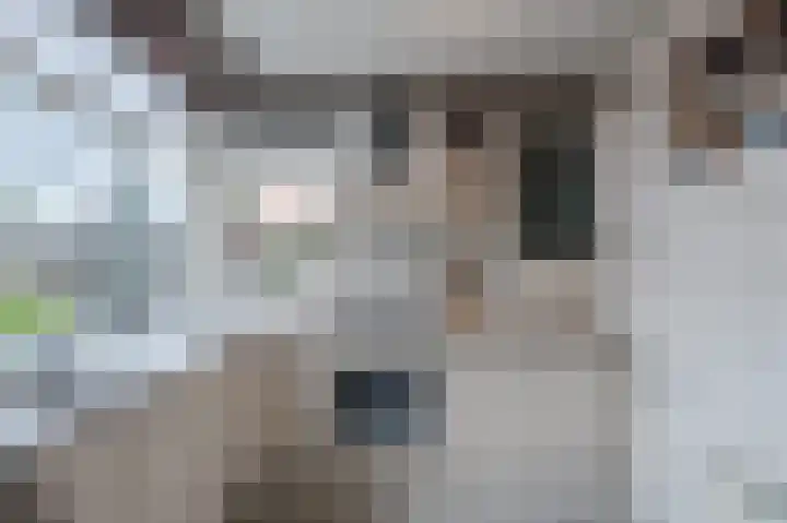 Piet Heinstraat 15 Bodegraven thumbnail 18