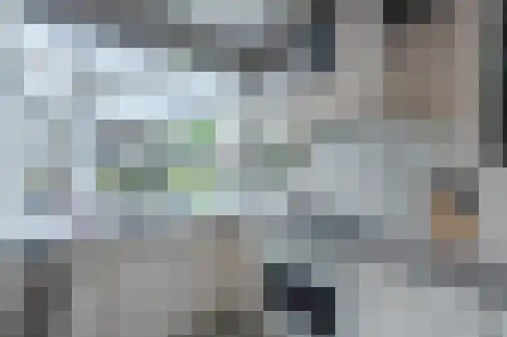 Piet Heinstraat 15 Bodegraven thumbnail 19