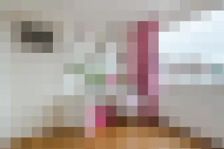 Piet Heinstraat 15 Bodegraven thumbnail 25