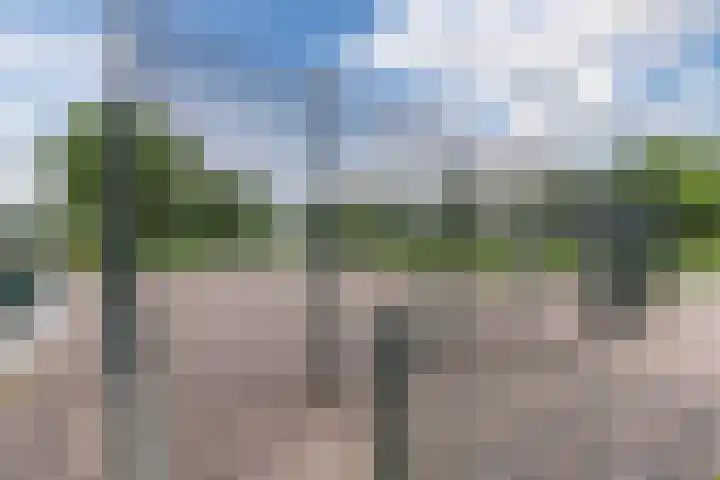 Piet Heinstraat 15 Bodegraven thumbnail 40