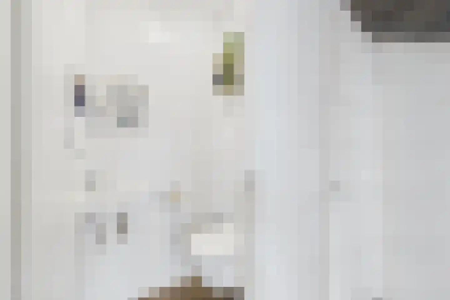 Piet Heinstraat 15 Kloosterzande thumbnail 16