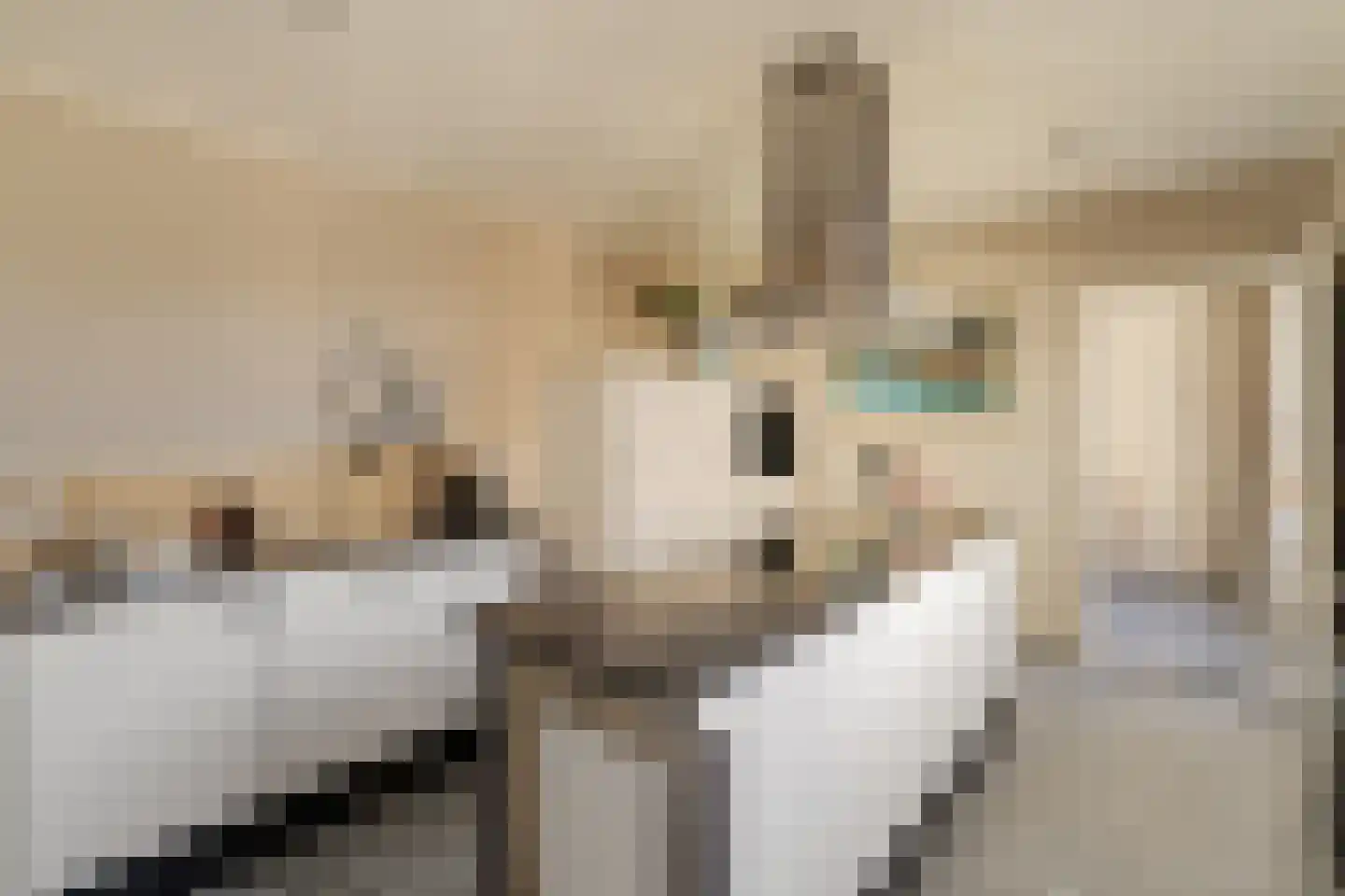 Piet Heinstraat 15 Noordwijk thumbnail 12