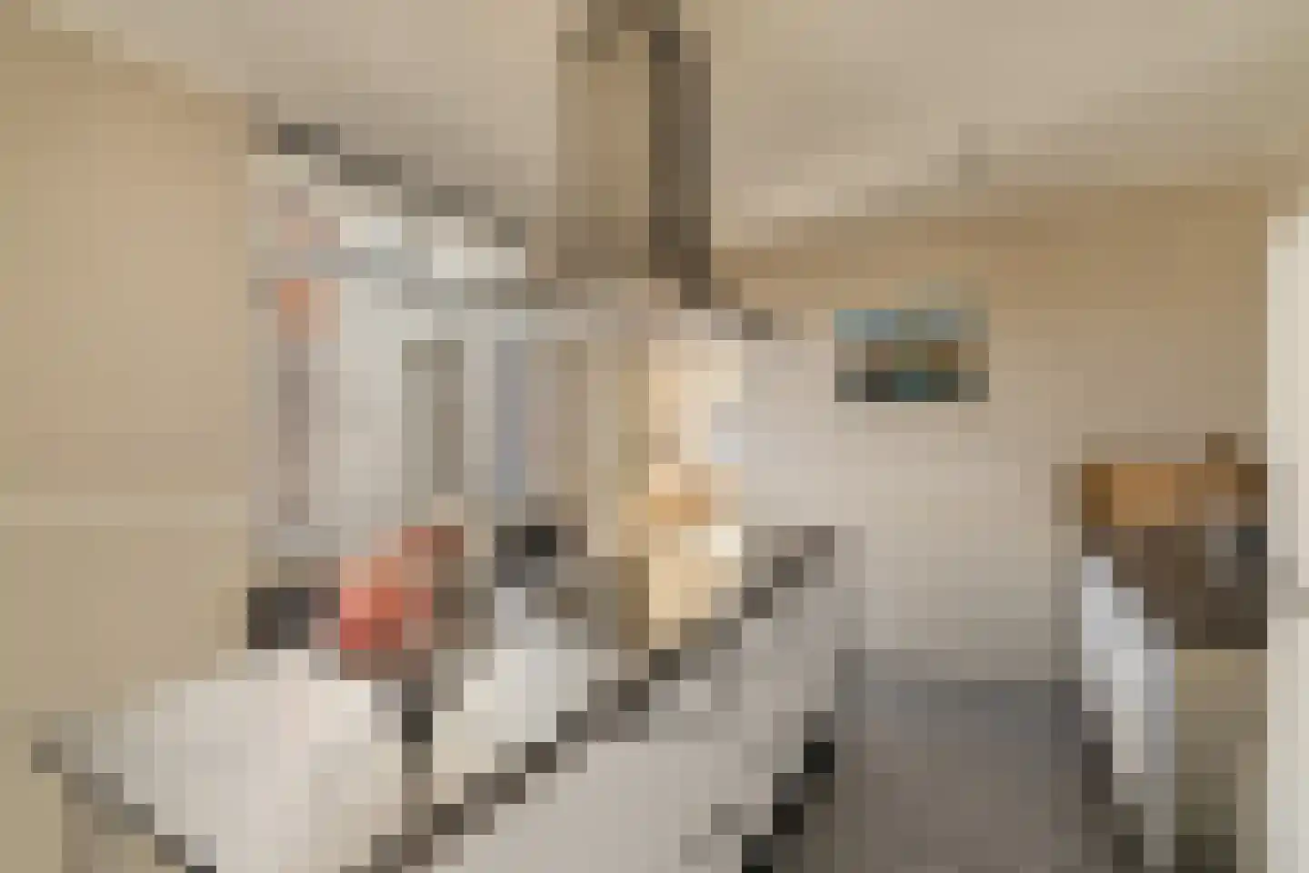 Piet Heinstraat 15 Noordwijk thumbnail 13