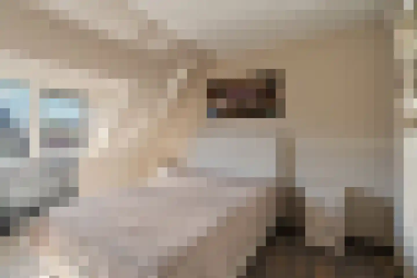 Piet Heinstraat 15 Noordwijk thumbnail 19