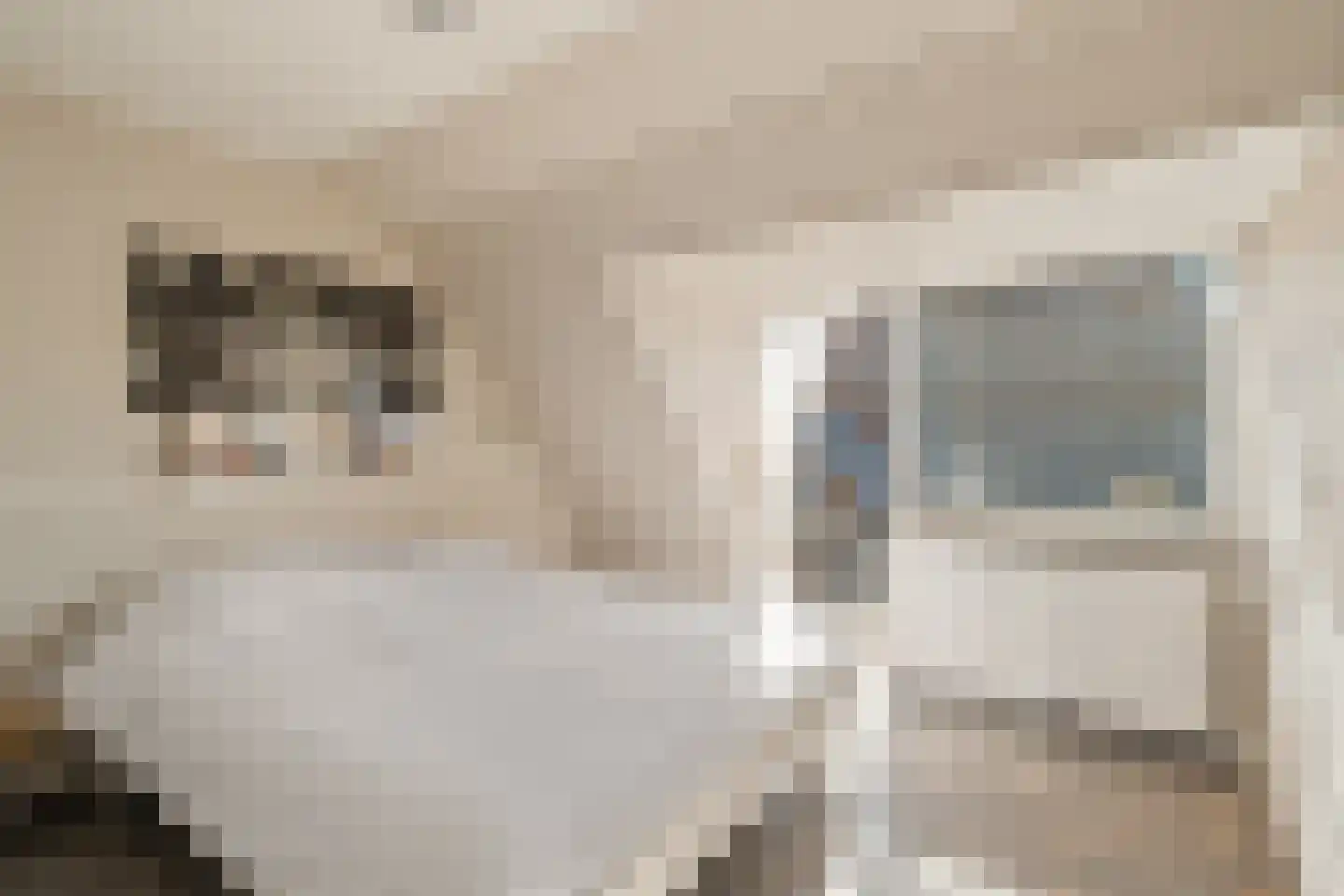 Piet Heinstraat 15 Noordwijk thumbnail 21