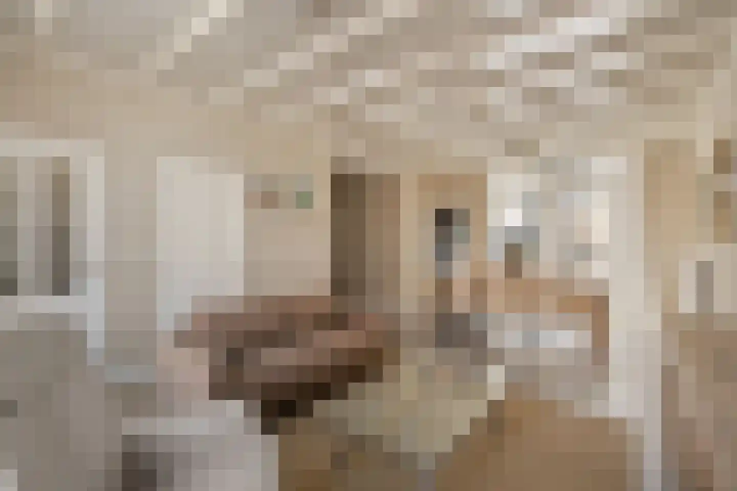 Piet Heinstraat 15 Noordwijk thumbnail 6