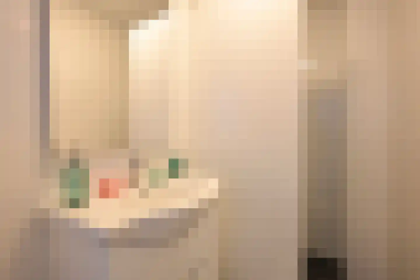 Piet Heinstraat 16 B Den Haag thumbnail 15